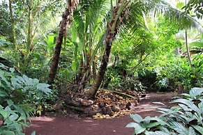 Cinderland EcoVillage - Hostel