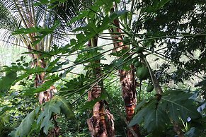 Cinderland EcoVillage - Hostel