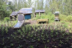 Cinderland EcoVillage - Hostel