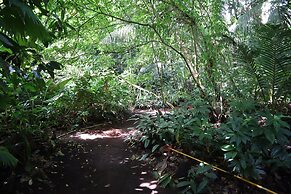 Cinderland EcoVillage - Hostel