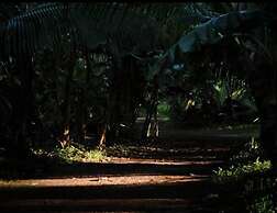 Cinderland EcoVillage - Hostel