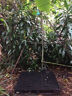 Cinderland EcoVillage - Hostel