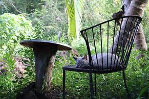 Cinderland EcoVillage - Hostel