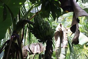 Cinderland EcoVillage - Hostel