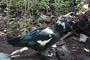 Cinderland EcoVillage - Hostel