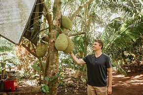 Cinderland EcoVillage - Hostel