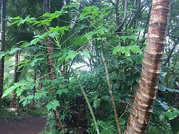 Cinderland EcoVillage - Hostel