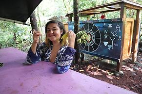 Cinderland EcoVillage - Hostel