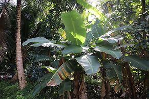 Cinderland EcoVillage - Hostel