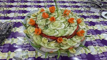 Hotel Green View Palace