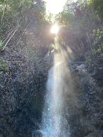 Pacific Waves Inn Annex