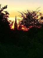 The Room in the Garden