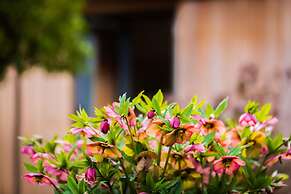 The Room in the Garden