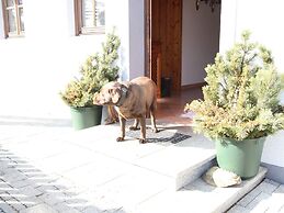 Apartment in Huttau Near ski Area