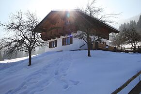 Apartment in Huttau Near ski Area