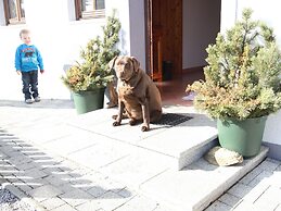 Lush Holiday Home in Hüttau near Ski Area