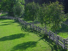 Lush Holiday Home in Hüttau near Ski Area