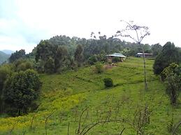 Bwindi Panorama Resort