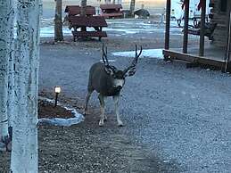 Grandview Cabins & RV Resort