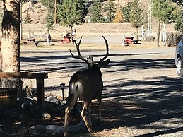 Grandview Cabins & RV Resort