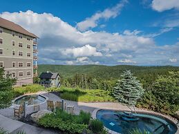 3 Br: Soaring Eagle 301