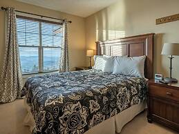 5 Br: Black Bear Crossing #4