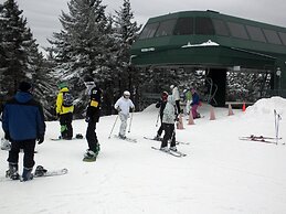 5 Br: Black Bear Crossing #4