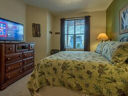 5 Br: Black Bear Crossing #4