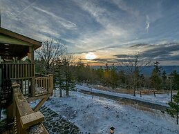 5 Br: Black Bear Crossing #4