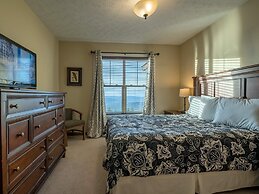 5 Br: Black Bear Crossing #4