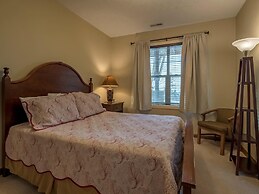 5 Br: Black Bear Crossing #4