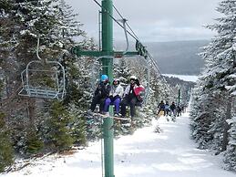 5 Br: Black Bear Crossing #4