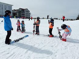 5 Br: Black Bear Crossing #4