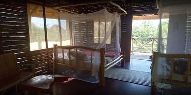 Forest Hog Safari Lodge