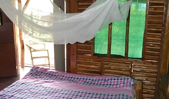 Forest Hog Safari Lodge