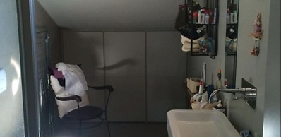 Rinidia Siena Celso Cittadini Grande