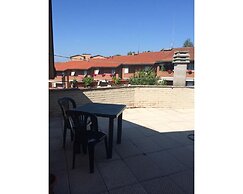 Rinidia Siena Celso Cittadini Grande