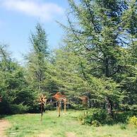 Le Domaine de la Vitarelle