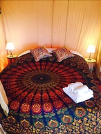 Le Domaine de la Vitarelle