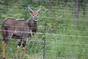 Mali Mali Safari Lodge