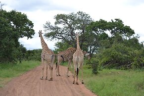 Mali Mali Safari Lodge