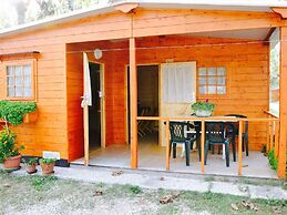 Tidy Chalet with Terrace near Sea