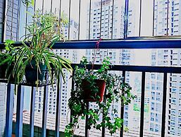 Avatar Gallery Large Queen Bed & High Rise View