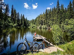 Splendid Holiday Home in Kreischberg Murau near Ski Resort