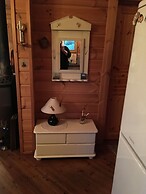 Log Cabin at White River