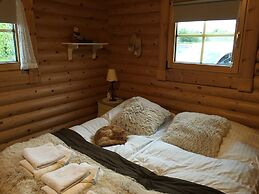 Log Cabin at White River