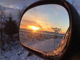 Log Cabin at White River