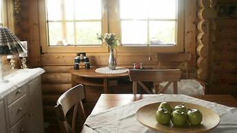 Log Cabin at White River