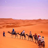 Desert Heart Luxury Camp