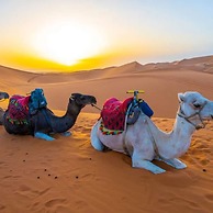 Desert Heart Luxury Camp